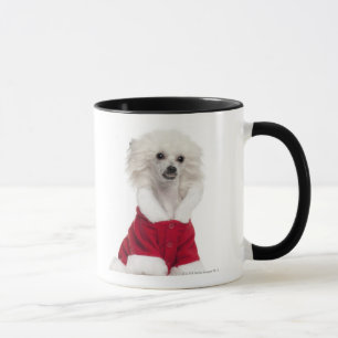 Chinese Crested Dog (1 year old) wearing a Mug