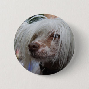 Chinese Crested Dog 6 Cm Round Badge
