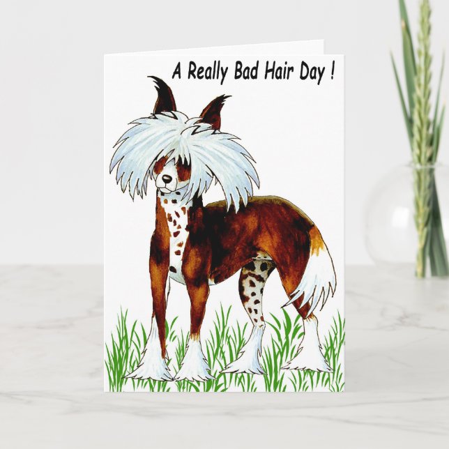 Chinese Crested Dog, Bad Hair Day Card (Front)