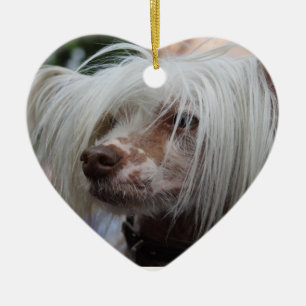 Chinese Crested Dog Ceramic Tree Decoration