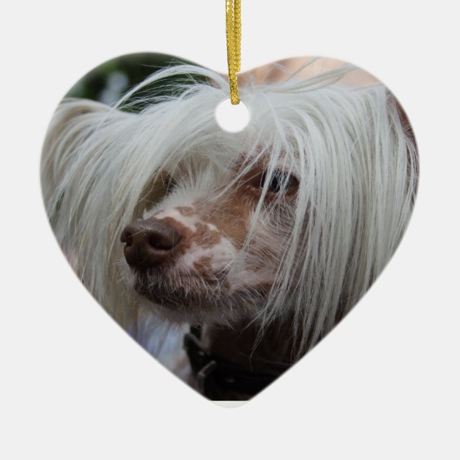 Chinese Crested Dog Ceramic Tree Decoration (Front)