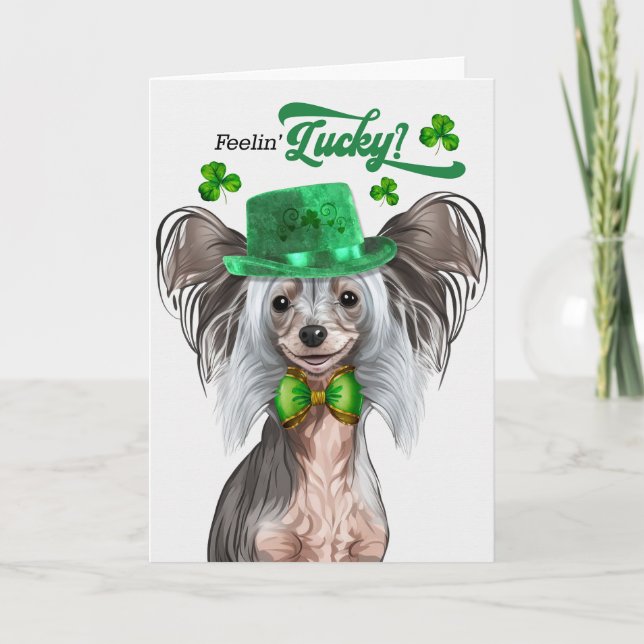 Chinese Crested Dog Feelin' Lucky St Patrick's Day Holiday Card (Front)