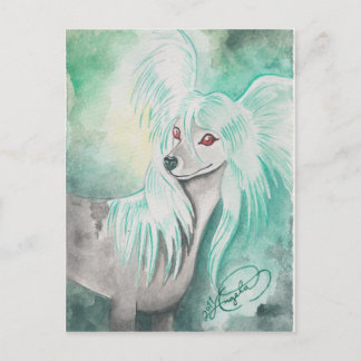 Chinese Crested Dog ~ Grzywacz Chiński Postcard