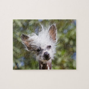 CHINESE CRESTED DOG (HAIRLESS) JIGSAW PUZZLE