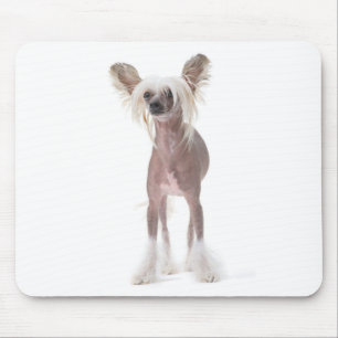 Chinese Crested Dog Mouspad Mouse Mat