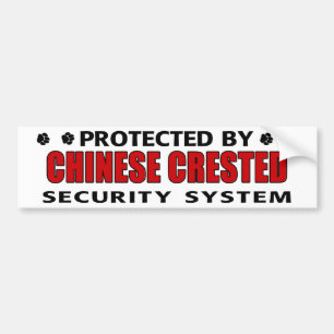 Chinese Crested Dog Security Bumper Sticker