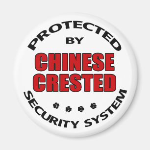 Chinese Crested Dog Security Magnet