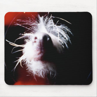 Chinese Crested Fisheye Mouse Mat