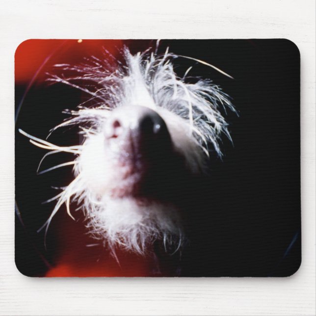 Chinese Crested Fisheye Mouse Mat (Front)