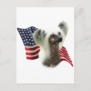 Chinese Crested Flag Postcard