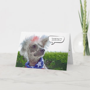 Chinese Crested Hairless dog birthday Card