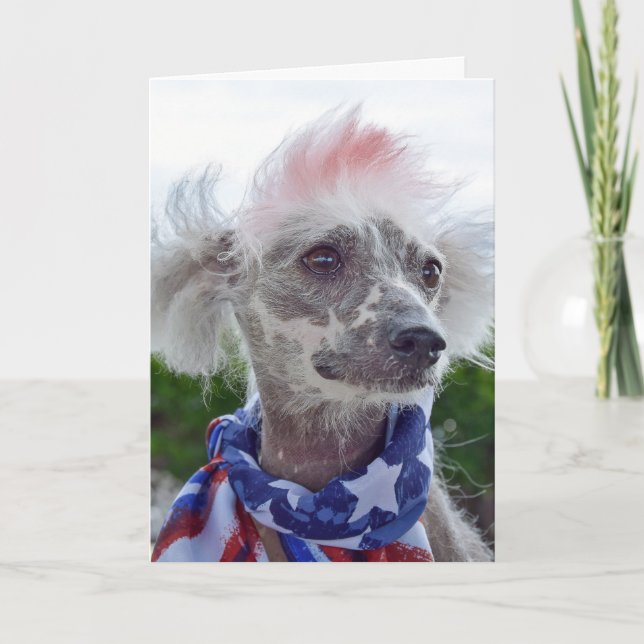 Chinese Crested Hairless Dog in flag scarf Card (Front)