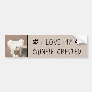 Chinese Crested Hairless Painting Original Dog Art Bumper Sticker