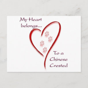 Chinese Crested Heart Belongs Postcard