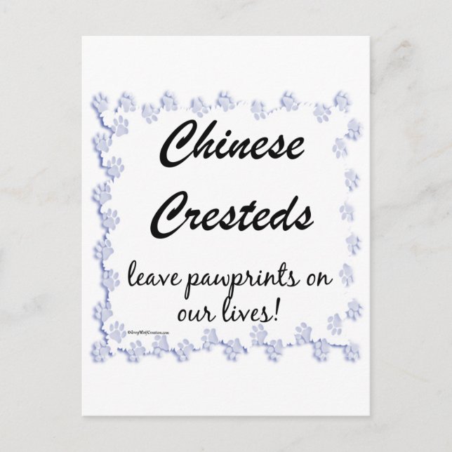 Chinese Crested Pawprints Postcard (Front)