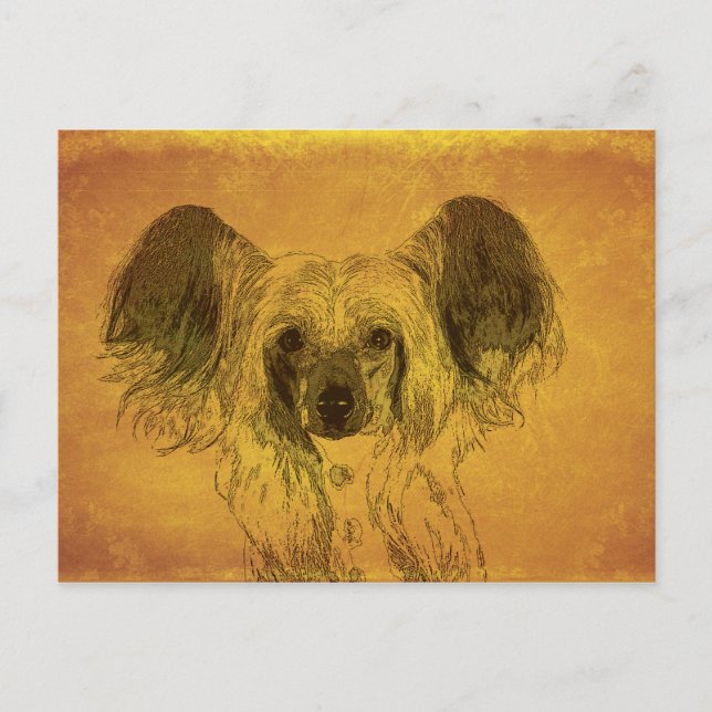 Chinese Crested portrait, yellow Postcard (Front)