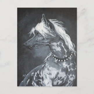 Chinese Crested Postcard