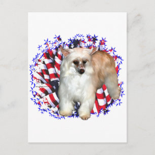 Chinese Crested (powder) Patriot Postcard