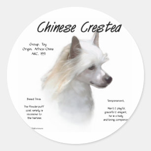 Chinese Crested (powderpuff) History Design Classic Round Sticker