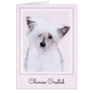 Chinese Crested Powderpuff Painting - Dog Art