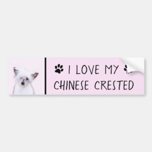 Chinese Crested Powderpuff Painting - Dog Art Bumper Sticker