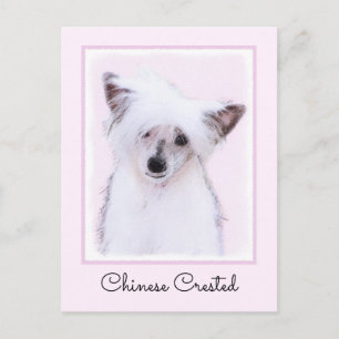 Chinese Crested Powderpuff Painting - Dog Art Postcard