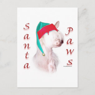 Chinese Crested Santa Paws Holiday Postcard