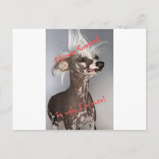 Chinese Crested So Ugly I'm Cute Postcard