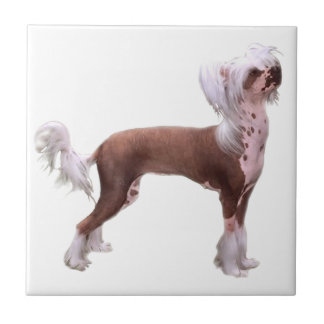 Chinese Crested Tile