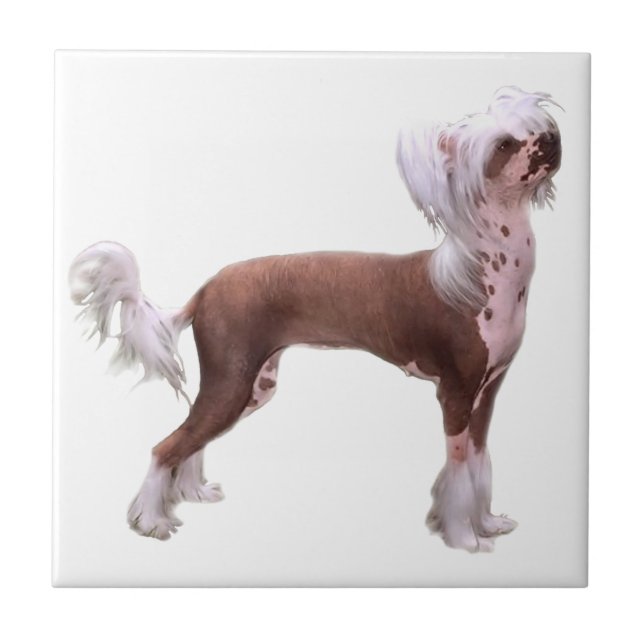 Chinese Crested Tile (Front)