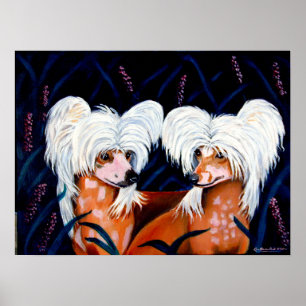 Chinese Crested Wall Print