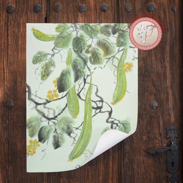 Chinese Cucumber Photo Print (Creator Uploaded)