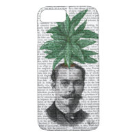 Chinese Evergreen Head Plant Head