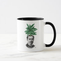 Chinese Evergreen Head Plant Head