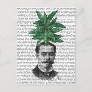 Chinese Evergreen Head Plant Head Postcard