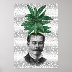 Chinese Evergreen Head Plant Head Poster