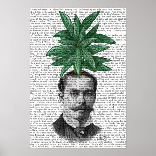 Chinese Evergreen Head Plant Head Poster (Front)