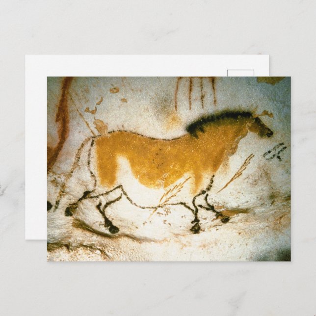 Chinese Horse,Lascaux Prehistoric Cave Paintings Postcard (Front/Back)