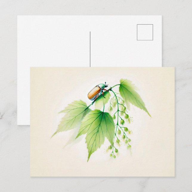 Chinese Ink May Bug on Linden Postcard (Front/Back)