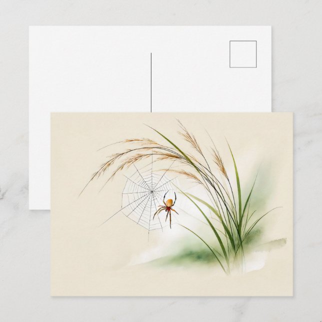 Chinese Ink Spider on Rice Postcard (Front/Back)