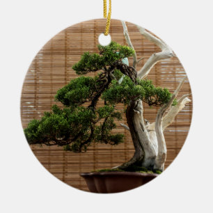 Chinese Juniper Bonsai Tree Ceramic Tree Decoration