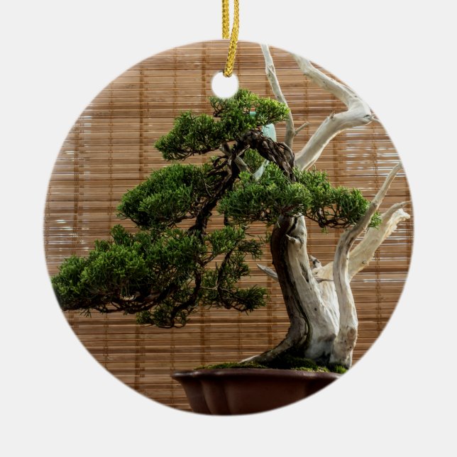 Chinese Juniper Bonsai Tree Photo Ceramic Tree Decoration (Front)