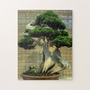 Chinese Juniper Bonsai Tree Photo Jigsaw Puzzle