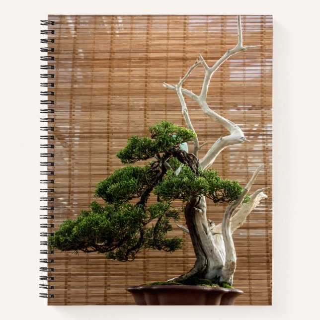 Chinese Juniper Bonsai Tree Photo Notebook (Front)