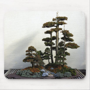 Chinese Juniper Bonsai Trees Mouse Mat