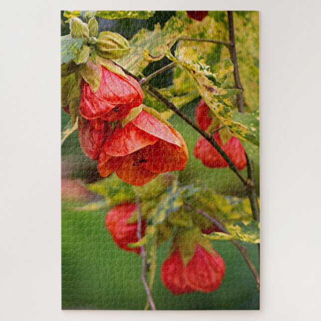 Chinese lantern abutilon plant flowers jigsaw puzzle (Vertical)
