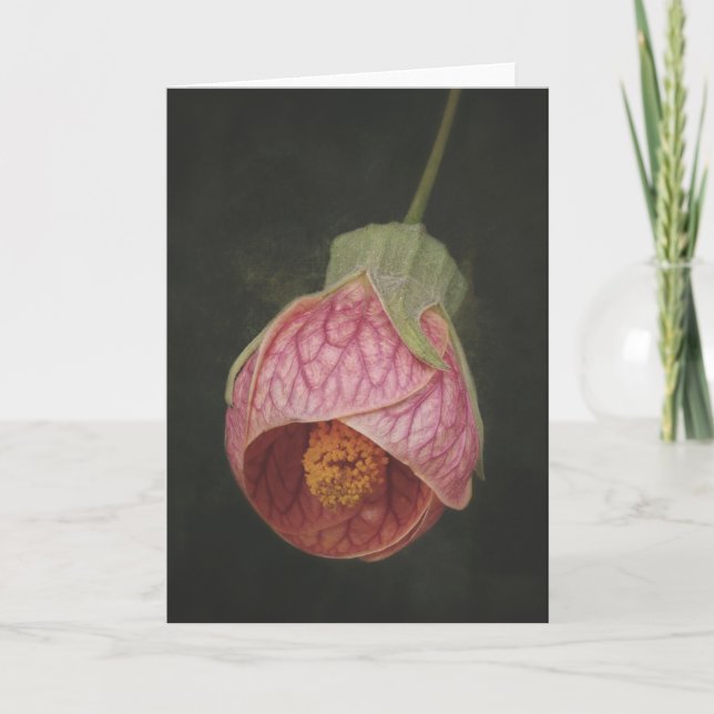 Chinese Lantern card (Front)