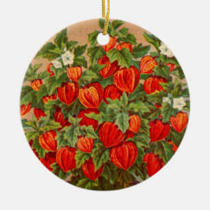 Chinese Lantern Plant Ceramic Tree Decoration