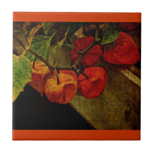 Chinese Lantern Plant With Fruit Tile