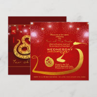 Chinese Lanterns Fireworks Snake Year 2025 Inv